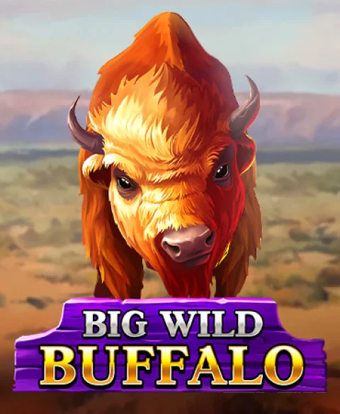 Play Big Wild Buffalo at Captain Spins Casino